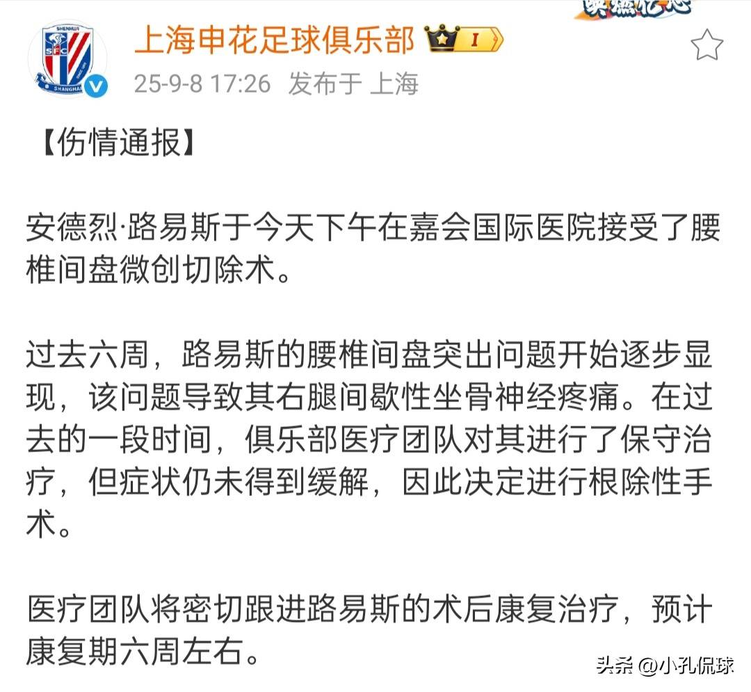 中超最后时刻走向成谜,上海申花火线驰援,目标明确,临场指挥获称赞  中超最后时刻走向成谜,上海申花火线驰援,目标明确,临场指挥获称赞